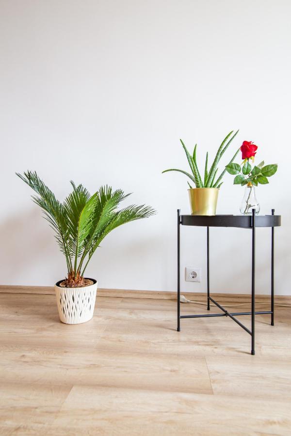 Best Rated Central Apartment Vienna - Ac, Wifi, 24H7Days Self Check-In, Board Games, Netflix Ngoại thất bức ảnh